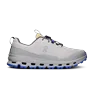 silver / fog