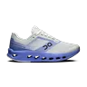sailor / iceberg